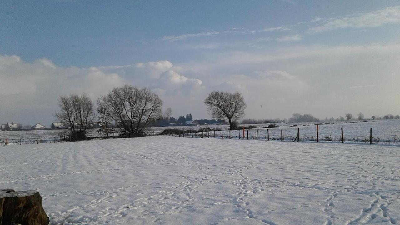 B & B Victors Hof, Met Zwemvijver In Landelijke Setting Lievegem Luaran gambar