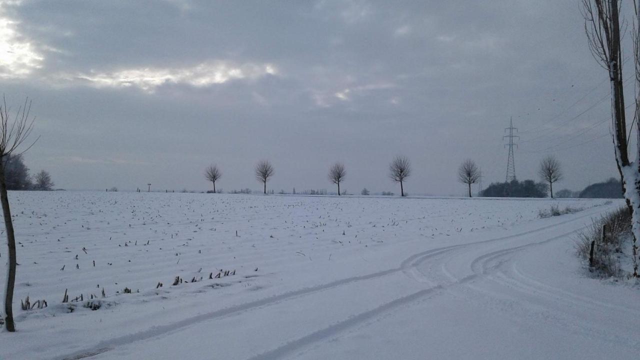 B & B Victors Hof, Met Zwemvijver In Landelijke Setting Lievegem Luaran gambar