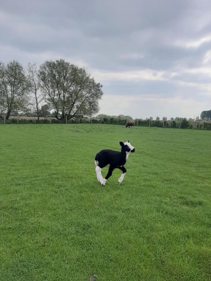 B & B Victors Hof, Met Zwemvijver In Landelijke Setting Lievegem Luaran gambar