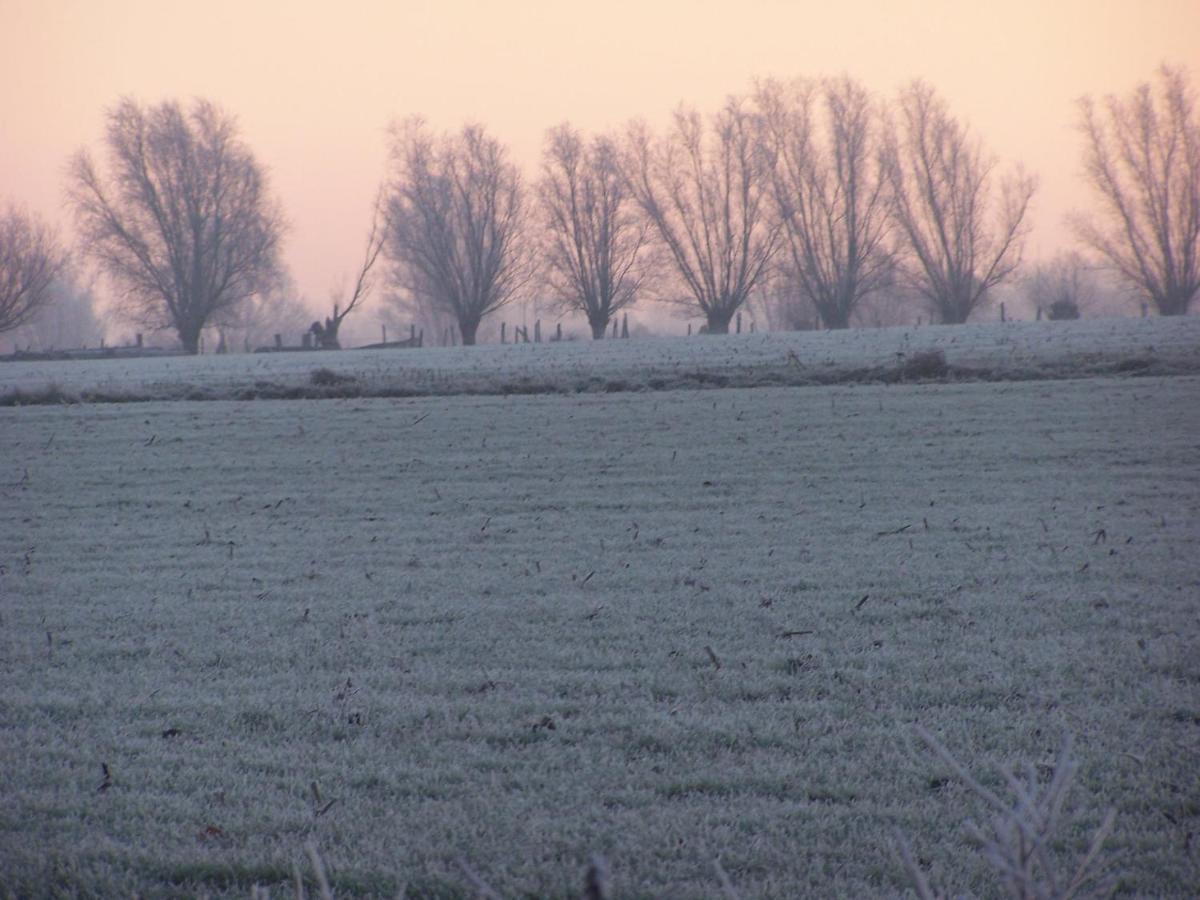 B & B Victors Hof, Met Zwemvijver In Landelijke Setting Lievegem Luaran gambar