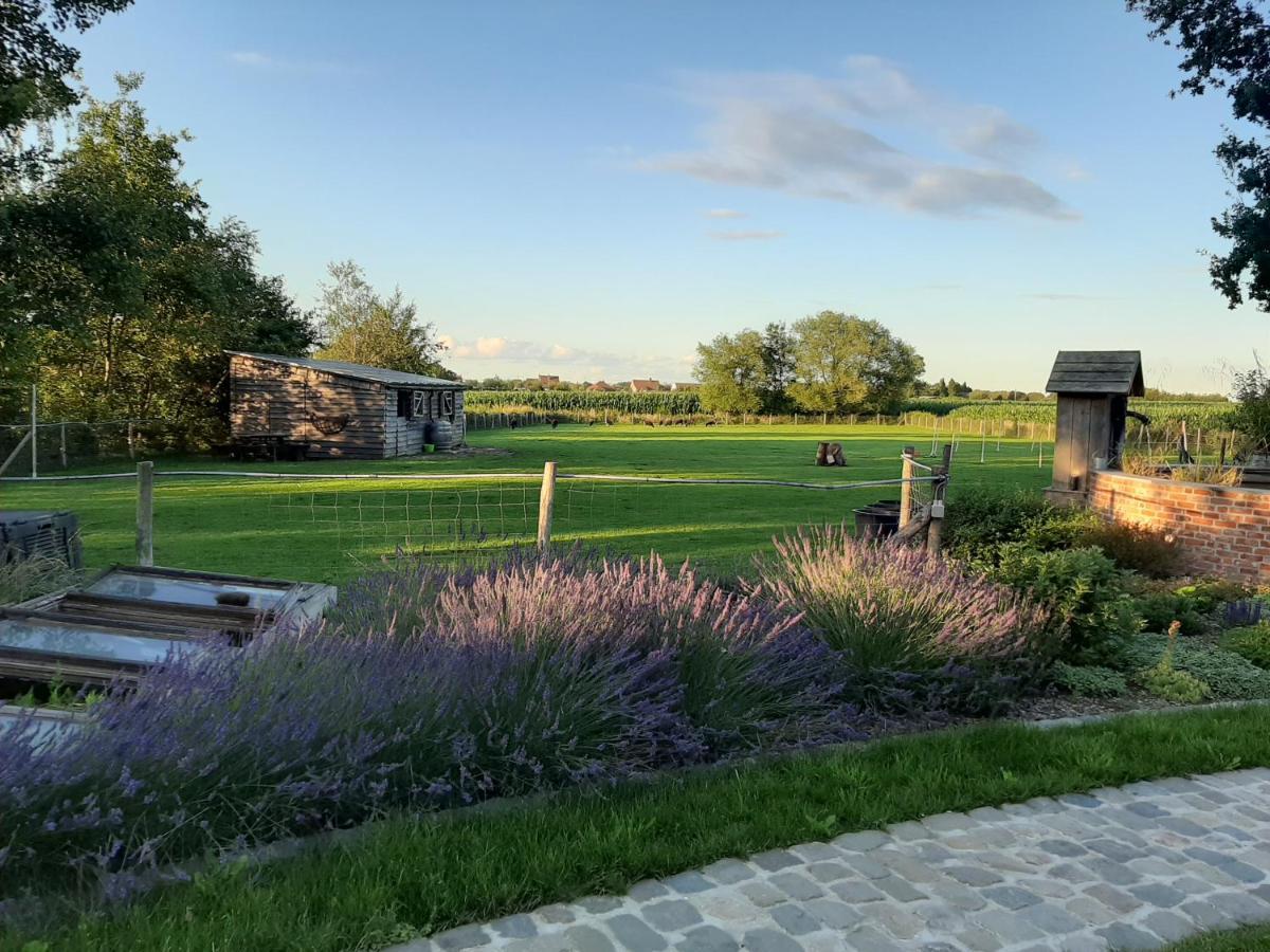 B & B Victors Hof, Met Zwemvijver In Landelijke Setting Lievegem Luaran gambar