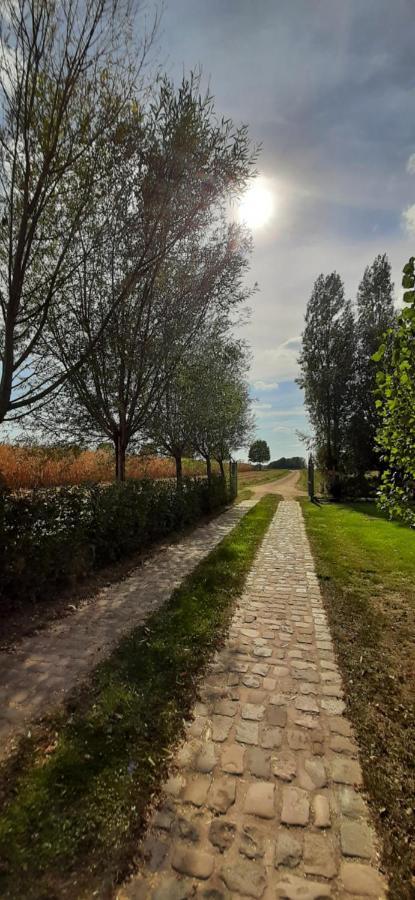 B & B Victors Hof, Met Zwemvijver In Landelijke Setting Lievegem Luaran gambar