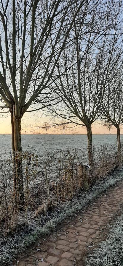 B & B Victors Hof, Met Zwemvijver In Landelijke Setting Lievegem Luaran gambar