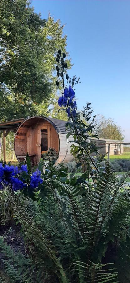 B & B Victors Hof, Met Zwemvijver In Landelijke Setting Lievegem Luaran gambar